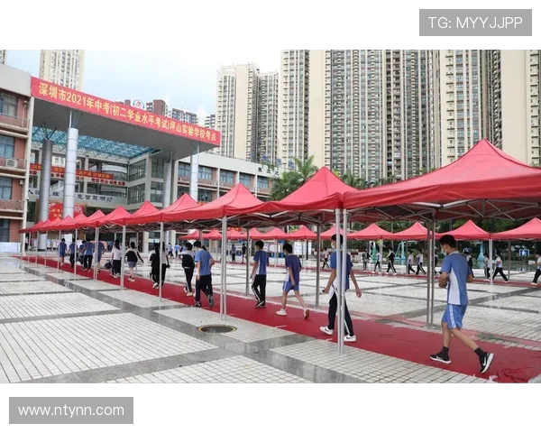 深圳乒乓球队的灵活性揭秘：从训练到比赛的全方位探索与分析