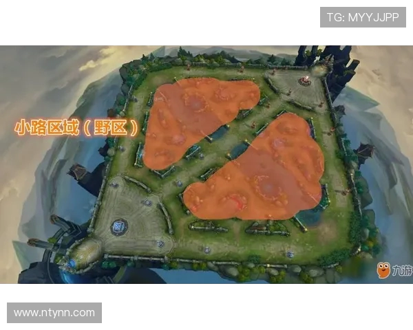 王者荣耀战术分析：深入探讨FPX的区域防守策略与执行细节