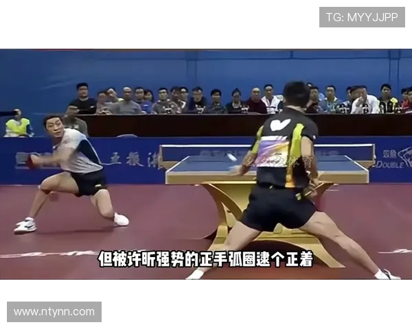 2015年乒乓球赛许昕对决张宇镇精彩瞬间回顾与分析